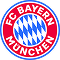 FC Bayern flag